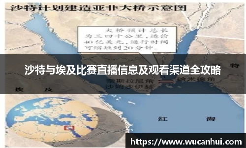 沙特与埃及比赛直播信息及观看渠道全攻略